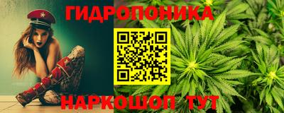 стаф Сланцы