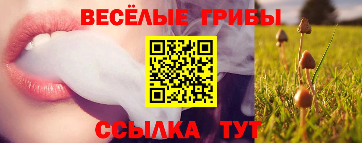Псилоцибиновые грибы Magic Shrooms Нягань